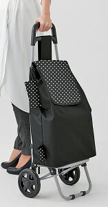 おしゃれ キャリーケース ショッピングカートの通販 価格比較 価格 Com