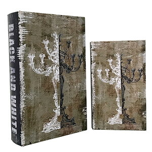 ubN{bNX AeB[N tFCNubN [P[X [ {^ fBXvC BLACK AND WHITE ubN^[{bNX   CeAG WG[{bNX  NVb