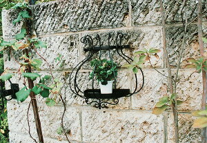 t[oRj[ ACA t[|bg GNXeA ԑ v^[ CeA G AeB[N