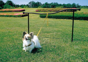 hbO|[ ybgpi pi hbOXeC GNXeA ACA [hŒ