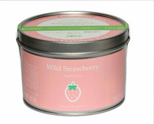 ͔|Zbg gK[fv ChXgx[ | K[fjO CeA Mtg  킢 ͔|Lbg