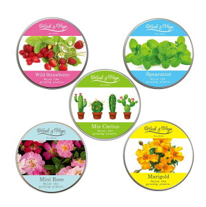 ハーブ&ベジ ミニ 園芸 ガーデニング インテリア ギフト 室内 かわいい ワイルドストロベリー サボテン ミニバラ スペアミント マリーゴールド