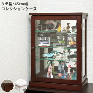  RNVP[X 45cm ^e RNVbN fBXvCbN KXP[X [bN fBXvCP[X tBMA ~jJ[ ANZT[ Vv V[P[X
