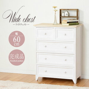  `FXg i  4i 60cm ؐ AeB[N t`Jg[`FXg [`FXg e [Ƌ ^X   \y t@bNX FAX db 