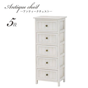  `FXg 35cm X RpNg 5i AeB[N`FXg ؐ  rt  \y ^X ߗގ[ rO [ [Ƌ t@bNX FAX db o m I 