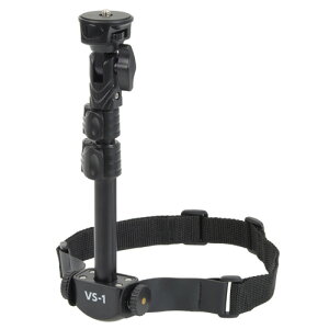 Gc~ rfT| VS-1 ubN Ɋ|邾 rfIJł̎BeT|[g