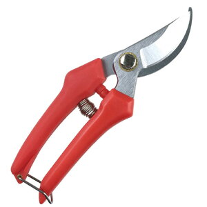  WXe g₷oT~  180mm bh  K[fjO