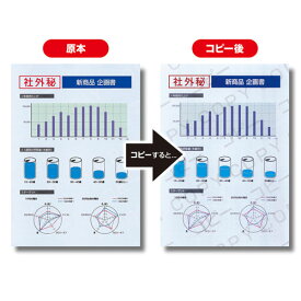 【5個セット】 サンワサプライ マルチタイプコピー偽造防止用紙(B5) 100枚 JP-MTCBB5NX5