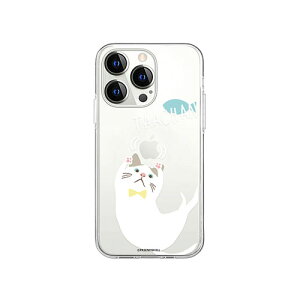abbi FRIENDS �������C�Z���X�i �^�[�`�����\�t�g�N���A�P�[�X for iPhone 14 Pro ���ƃ^�[�`���� �w�ʃJ�o�[�^ ABF24245i14P
