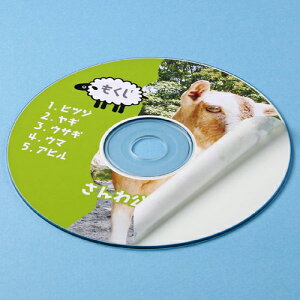 �y10�Z�b�g�z �T�����T�v���C �C���N�W�F�b�gDVD/CD���x��(��Ȃ��}�b�g) LB-CDR001NX10