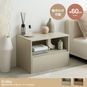 er I[v+o er{[h 60cm ؐ RpNg ȃXy[X l炵 [  q O[W i` Vv o g ЂƂ炵 TV TV
