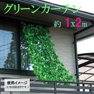 O[J[e 1x2m  ډB x_ oRj[ JtF eX 