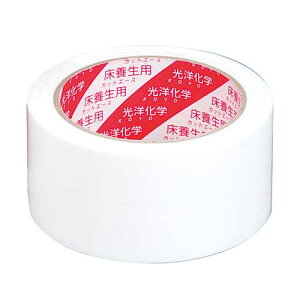 mwEJbgG[XFWS^CvE38mmx50M {e[v ~ zCg F { t[O