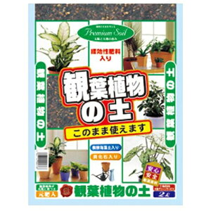 GS ϗtA̓y 2L |p|{y Ɍ엿 ̂܂܎g܂ K[fjO | _ ƒ؉ DIY