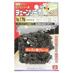 �I���S���`�F���\�[�֐nNo�D17N