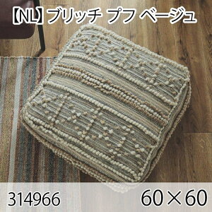 �u���b�` �v�t �x�[�W�� �N�b�V���� 60×60cm ��D�� �k�� ������� �C���e���A ������ �E�[�� ��l���킢��