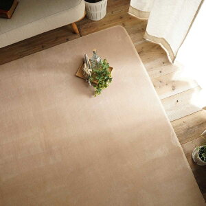 190x300cm ホリデープラス サンド ラグ マット リビングラグ 洗える すべり止め オールシーズン はっ水 撥水 低反発ウレタン おしゃれ シンプル レトロ モダン 床暖 ホットカーペット