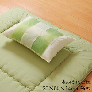  pCv ܂ pCv܂  s[ qoGbZXgp X̖ЂΖHx 35×50×14cm  􂦂 h_j R hL