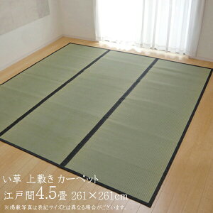 O Y  ~ 4.5 J[ybg J[ybg  O Vv ȐD  ]ˊ4.5 261×261cm F{YC ~J[ybg C  ~   