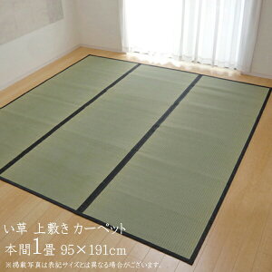 O Y  ~ 1 J[ybg J[ybg  O Vv ȐD  {1i95×191cmj F{YC ~J[ybg C  ~    