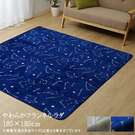 送料無料 カーペット おしゃれ ラグマット ラグ 抗菌 防臭 ウォッシャブル フランネル WSミリオン RUG 正方形 約185×185cm 滑り止め すべり止め フロアマット ホットカーペットカバー 床暖房対応 床暖対応 オールシーズン 高級感 絨毯 じゅうたん 一人暮らし シンプル 北欧