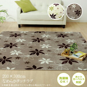  J[ybg  O}bg O 􂦂 R hL n 4 WSv^ 200×300cm ~ ׂ~ tA}bg zbgJ[ybgJo[ g[Ή gΉ I[V[