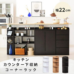 JE^[[ R[i[bN 40cm s22cm 80cm uE/_[NuE/zCg