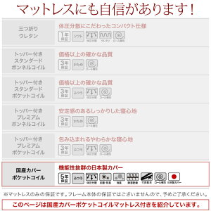 北欧ヴィンテージ棚・コンセント付き収納ベッドEquinoxイクイノックス国産カバーポケットコイルマットレス付きセミダブル