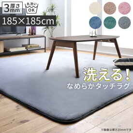 送料無料 洗えるシャギーラグ 厚さ3mm 185×185cm 正方形 滑り止め付き すべり止め シンプル 絨毯 ラグ ラグマット マット Washuwa ワシュワ ホットカーペット 床暖房対応 カーペット リビングラグ センターラグ 北欧 おしゃれ