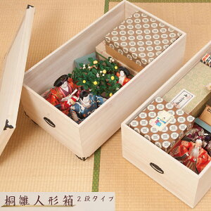  ːl`[P[X2i 54.5cm^Cv LX^[t [P[X l`[ ˃P[X ߏփP[X ˔  [ ˃^X ˂ ˃P[X ߗގ[ ֔ N