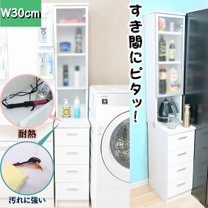 c^[ @ ①ɉ Ԏ[30cm o t nC^Cv Lb` Tj^[ h[ ʏ Eߏ qpi ܃XgbN P[X Vl嗝 VϔMϐ 