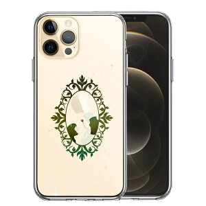 Pi iPhone12 Pro ʃ\tg wʃn[h nCubh NA P[X X̔ 2