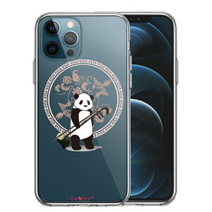 Pi iPhone12 Pro ʃ\tg wʃn[h nCubh NA P[X p_ 