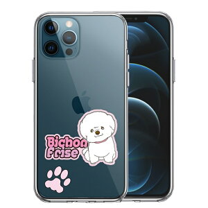 Pi iPhone12 Pro ʃ\tg wʃn[h nCubh NA P[X rVt[[