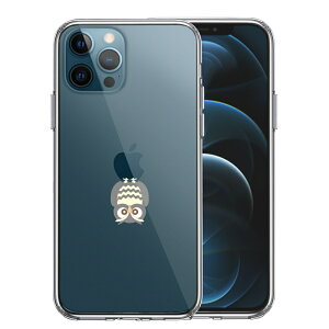 Pi iPhone12 Pro ʃ\tg wʃn[h nCubh NA P[X ӂ낤 x