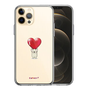 Pi iPhone12 Pro ʃ\tg wʃn[h nCubh NA P[X RA n[g dʋ