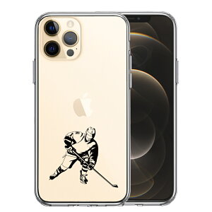 Pi iPhone12 Pro ʃ\tg wʃn[h nCubh NA P[X ACXzbP[2