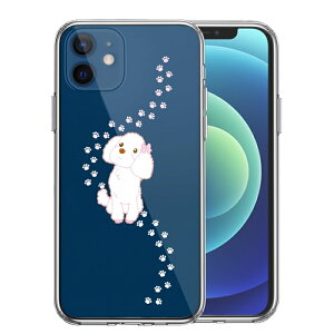 Pi iPhone12mini ʃ\tg wʃn[h nCubh NA P[X v[h 