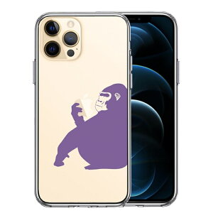 Pi iPhone12 Pro ʃ\tg wʃn[h nCubh NA P[X S p[v 