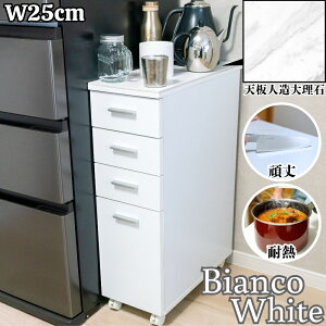  XgbJ[ [ 25cm Vl嗝  ړł Ƒ  X  zCg o[ XgbJ[ LX^[t q Lb` h[ rO 