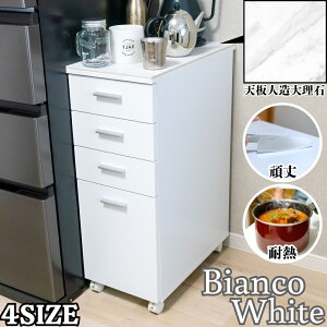  XgbJ[ [ Vl嗝  ړł Ƒ   X  {g(15cm) o[ XgbJ[ LX^[t q Lb` 