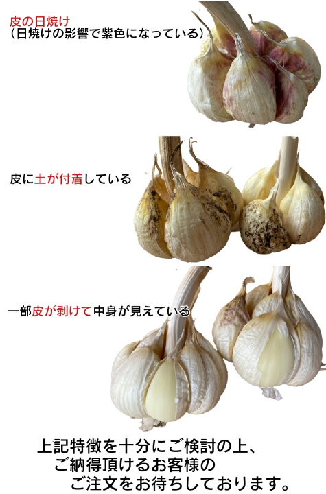 楽天市場】【令和6年産】にんにく 訳あり Sサイズ 10kg 【送料無料 