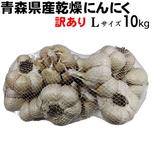 yߘa7NxYzɂɂ 󂠂  LTCY 10kg y݁z XY nzCgZ X^~i   Hi  jjN f N̂߂