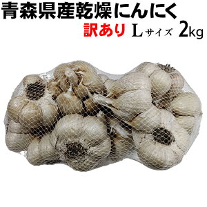 yߘa7NxYzɂɂ 󂠂 LTCY  2kg y݁z XY nzCgZ X^~i   Hi  jjN f N̂߂