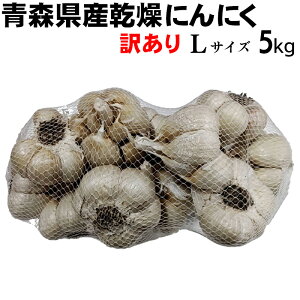 yߘa7NxYzɂɂ 󂠂  LTCY 5kg y݁z XY nzCgZ X^~i   Hi  jjN f N̂߂