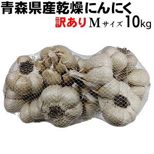 yߘa7NYzɂɂ 󂠂 MTCY 10kg y݁z XY nzCgZ X^~i   Hi  jjN f N̂߂