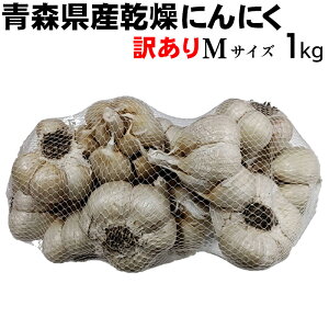 yߘa7NYzy󂠂zɂɂ MTCY 1kg y[ցzy݁z XY nzCgZ X^~i   Hi  jjN f N̂߂