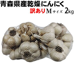 yߘa7NYzɂɂ 󂠂 MTCY 2kg y݁z XY nzCgZ X^~i   Hi  jjN f N̂߂