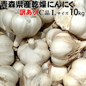 }\II|Cg10{IIyߘa7NxYzɂɂ 󂠂  LTCY 10kg y݁z XY nzCgZ X^~i   Hi  jjN f N̂