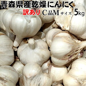 yߘa7NYzɂɂ 󂠂 MTCY 5kg y݁z XY nzCgZ X^~i   Hi  jjN f N̂߂